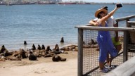 Se adelanta un día no laborable y noviembre tendrá un feriado largo de 4 días
