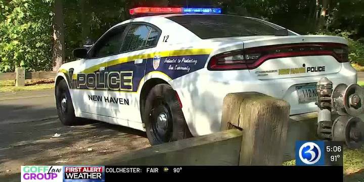 Man arrested in connection with sexual assault at park in New Haven