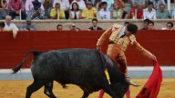 El valor y concepto de Cristiano Torres destacan en Villaseca de la Sagra