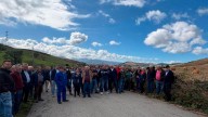 El oso, tras los pasos del lobo: colectivos agrarios culpan a la especie de provocar daños en ganado, colmenas y huertas