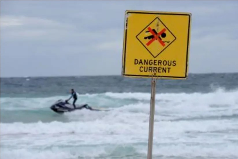 Terror en Australia: surfista murió tras ser devorado por un “gran tiburón” en plena playa de Sídney