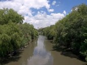 Semarnat cuida el bosque ribereño del río Tula con acciones de saneamiento y restauración