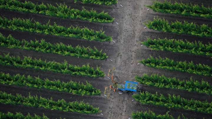 California vineyards leaning into the future through AI