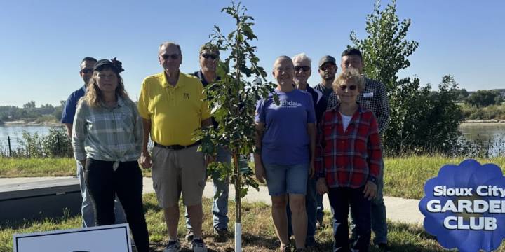 Sioux City Garden Club planting 100 burr oak trees for its centennial celebration
