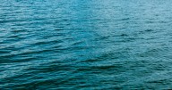 Boat crash on Eagle Mountain Lake sends 2 children, 1 man to the hospital