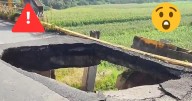 ¡Qué miedo! Socavón en puente rumbo a autopista México-Puebla provoca caos vial en Huejotzingo