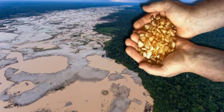 La Amazonía en peligro: La PNP ha incautado más de S/2.000 millones en bienes a la minería ilegal, en lo que va del 2025