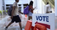 Appeals court upholds Florida law barring noncitizens from gathering voter petitions