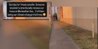 Louisville advocates want to know who stole public trees