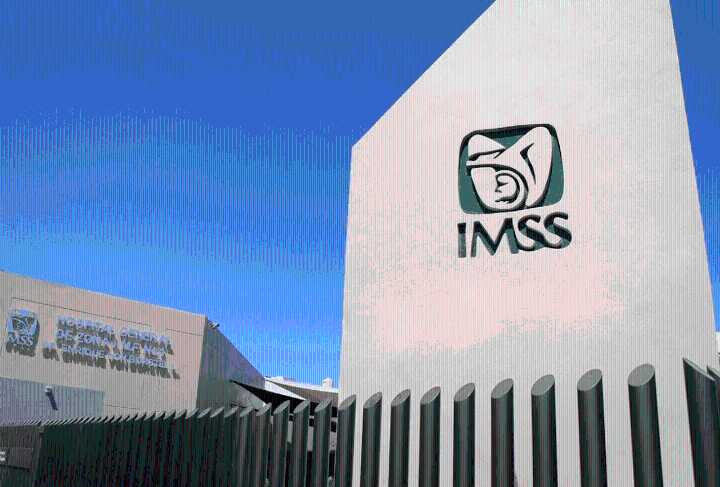 Funcionaria del IMSS se refiere a niños con cáncer y discapacidad como “fauna carismática”