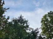 NJ weather: Clouds, humidity, and rain chances ramp up again