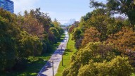 El Ayuntamiento de Valencia constata un ciberataque ruso contra el mayor parque urbano de España