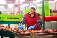 Día de la Gastronomía Peruana: conoce las carreras técnicas más demandadas del sector