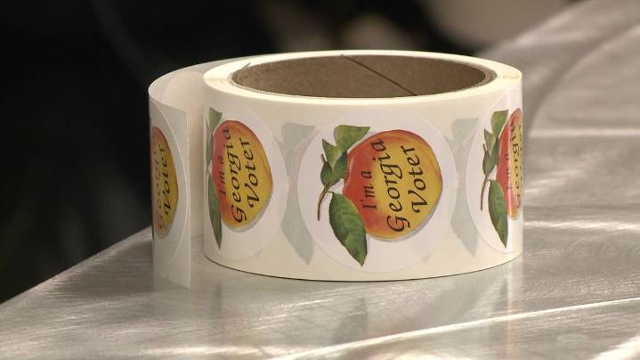 Recount requested in Georgia Senate District 21 Special Election