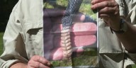 Rare Grand Isle County timber rattlesnake sighting prompts excitement
