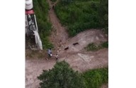 Video.- Así atacaron perros salvajes... a familia de turistas en Creel