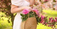 Adiós al invierno: ¿Cuándo empieza oficialmente la primavera?