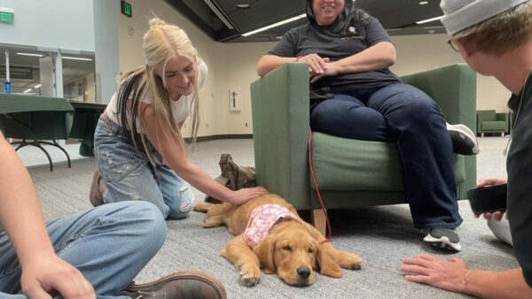 'That made me feel comfortable to go back;' Therapy dogs bring healing to UVU students