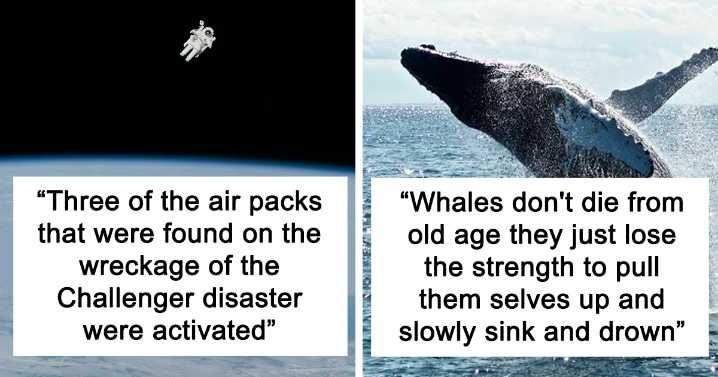 25 Disturbing Facts That People Probably Shouldn’t Have Shared But Did Anyway