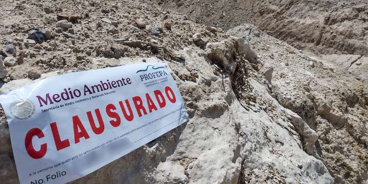 Remueven casi 3 hectáreas de vegetación en Cuencamé, clausuran el predio por daño ambiental