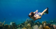 Woman's jaw drops after getting 'close' with sea creature and realising what it is