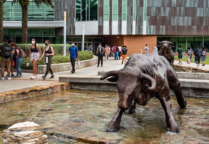 USF reaches historic high in latest higher education rankings