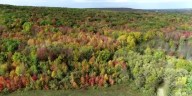 15+: Fall Color Science