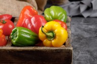 Japón abre sus puertas al pimiento morrón mexicano tras 16 años de negociaciones