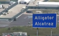 Desaparecen de la base de datos: familias buscan a detenidos en Alligator Alcatraz