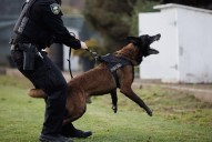 Opinion: A pending state bill would hide police misconduct records. It must die.