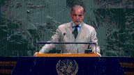 Pakistani PM Shehbaz claims victory over India, thanks Trump for ending ‘war’, seeks plebiscite in Kashmir