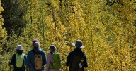 Colorado deputies set up blockade before Guanella Pass due to major fall colors traffic jam