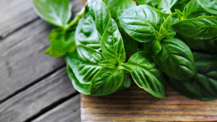 El ritual más poderoso con un ingrediente de tu cocina que te ayuda a atraer nuevas oportunidades en solo 7 días