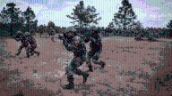 India has a solid defence structure on paper. But it lacks a national security vision