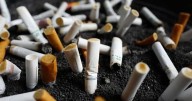 New online program to help people quit smoking