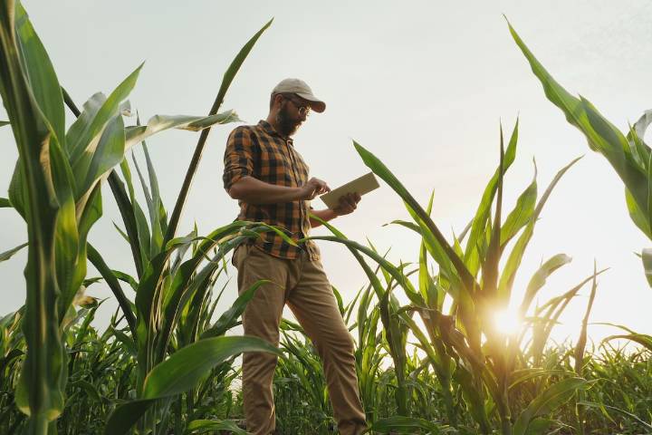 Por qué hoy se celebra el Día de la Agricultura