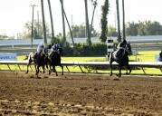 Bob Baffert filly’s win at Los Alamitos a ‘confidence builder’
