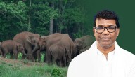 Odisha Govt Plans Dedicated Shelters, Tree Plantations To Protect Elephants
