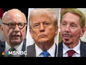 Trump's TikTok Deal: Murdoch family, Larry Ellison expected to be involved