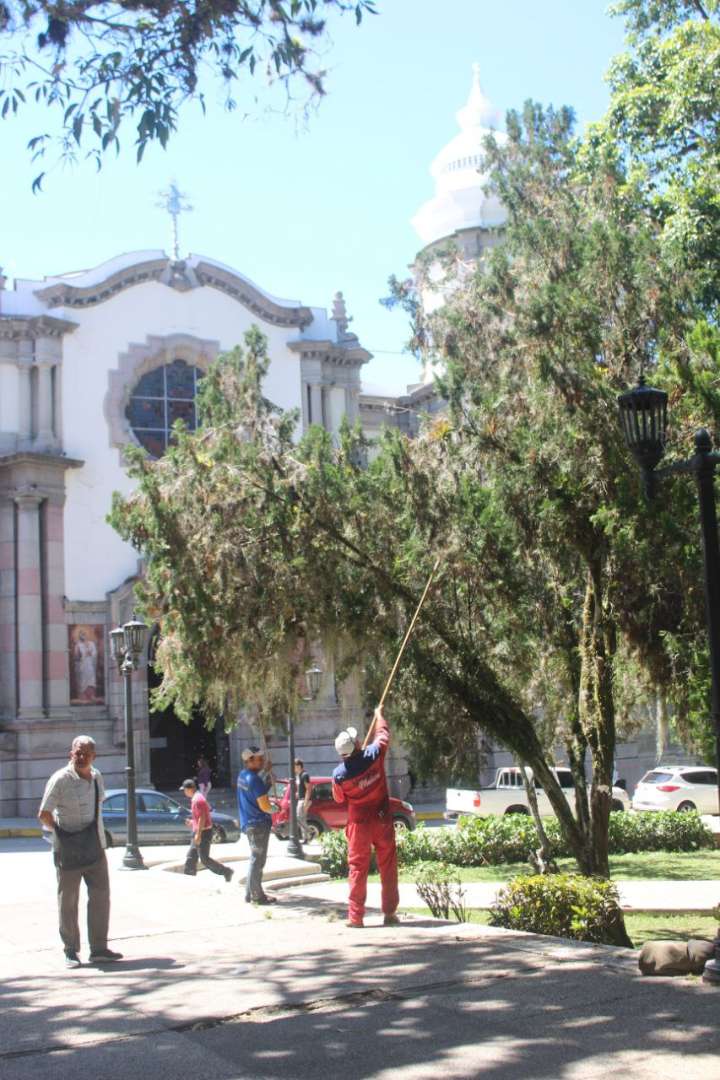 Inició plan de rehabilitación de la plaza Bolívar de Mérida