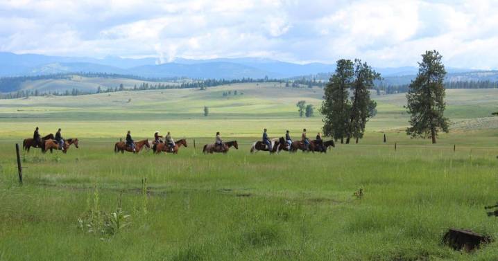 Horse law shields Paws Up luxury ranch from doctor's lawsuit, Montana Supreme Court rules