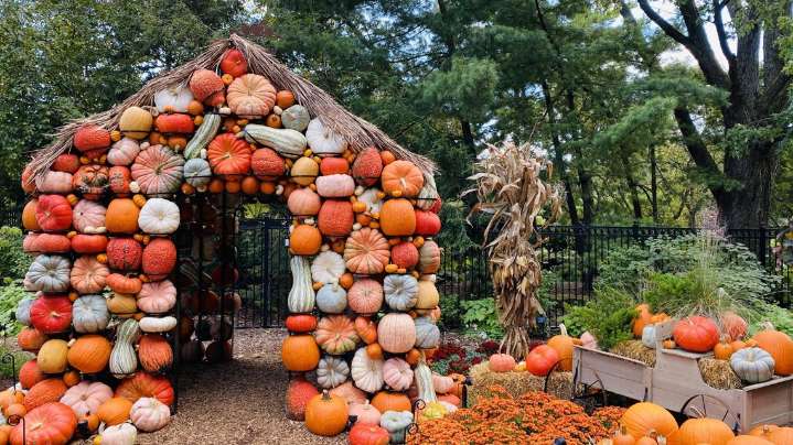 Franklin Park Conservatory's Harvest Blooms opens for the season this week