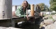 Green Lake Association advocates for better water quality after algae outbreak
