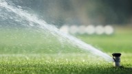 Town of Mosman Park, Shire of Peppermint Grove to cut back on water use after hitting limit