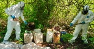Aseguran 13 áreas de concentración de químicos y un narcolaboratorio en Sinaloa