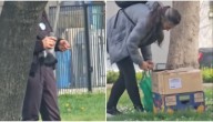 Extraño caso de cazadores de palomas en Santiago: "Hay pistas de que un restaurante las compra"