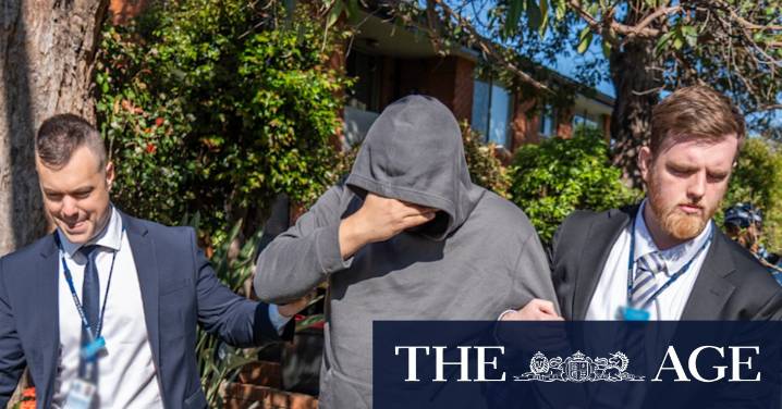 North Parramatta arrest: Sydney man charged with multiple rapes over two
