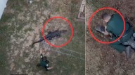 Video de oficiales que tuvieron que capturar a caimán dentro de una casa en Florida, Estados Unidos, tras atender a una llamada de emergencia