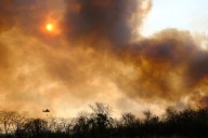 El peor de los ciegos: las políticas regresivas ambientales se intensifican en América Latina