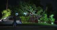 Miami-Dade family displaced as storm topples tree near Coral Way home
